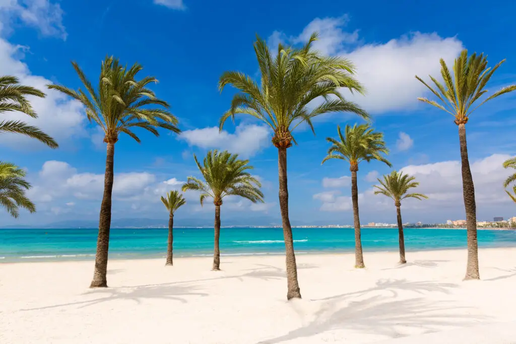 Video Production Services in Spain palma de mallorca playa